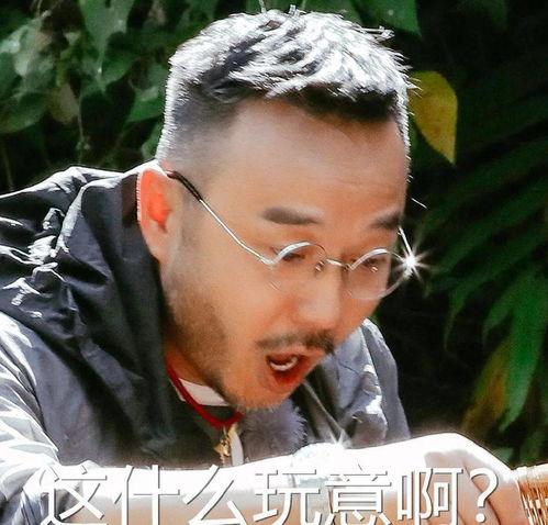 汪涵吃瓜的视频,揭秘娱乐圈幕后故事