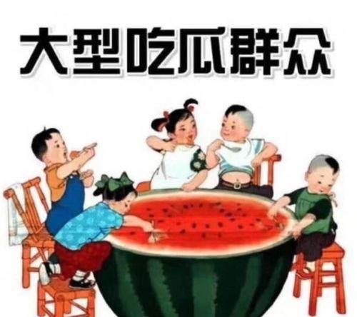 瓜瓜吃瓜教学演讲视频,揭秘网络八卦背后的真相与技巧