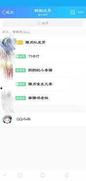 视频吃瓜群聊名称怎么取,一场网络社交的狂欢盛宴