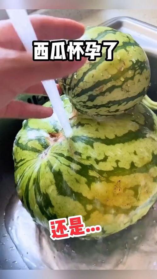 带你吃瓜特别搞笑的视频,笑料横生！带你重温“带你吃瓜”搞笑视频集锦