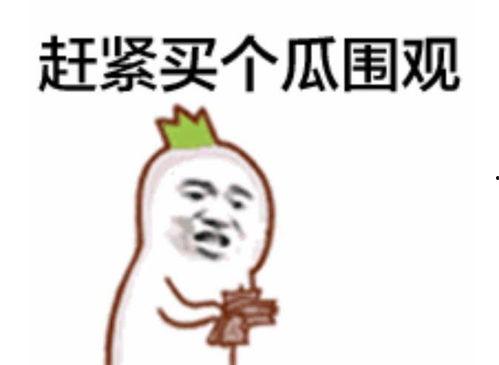 吃瓜群众哈喇子视频大全,揭秘吃瓜群众哈喇子视频大全