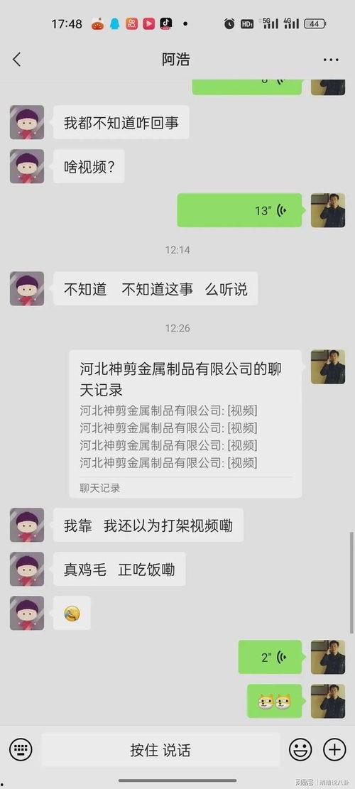 吃瓜视频永年,揭秘网络热传视频背后的真相