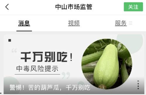 吃葫芦瓜视频素材下载网站,揭秘热门视频素材下载网站