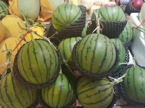 吃瓜视频吃糖,甜蜜糖分，带你领略网络娱乐新风尚