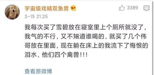 女生在宿舍的吃瓜视频,揭秘女生宿舍里的美食分享趣事