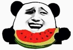 吃瓜群众带头吃瓜视频,揭秘热门视频背后的瓜界风云