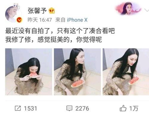 天堂吧吃瓜少女视频,一场网络视频的狂欢盛宴